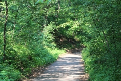 Wood Archway