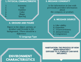 Comprehension Process Infographic